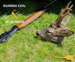 Control de precintos y más vigilancia para evitar caza furtiva de corzos en Castilla y León